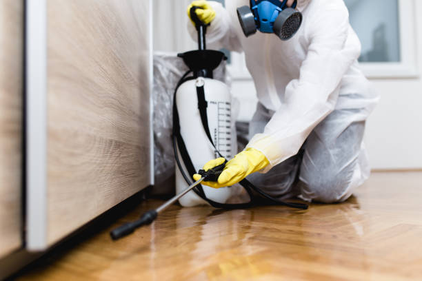 Best Pest Control Near Me in Sierra Ridge, CO