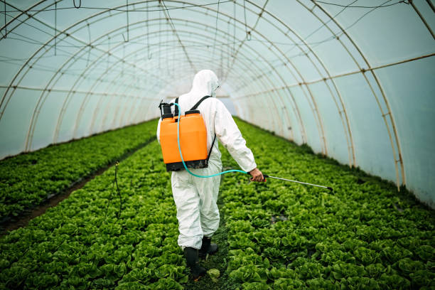 Best Pest Prevention Services  in Sierra Ridge, CO