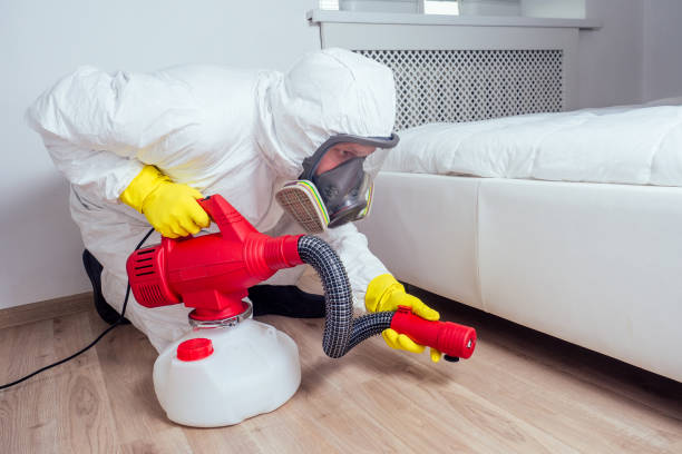 Best Local Pest Control Services  in Sierra Ridge, CO