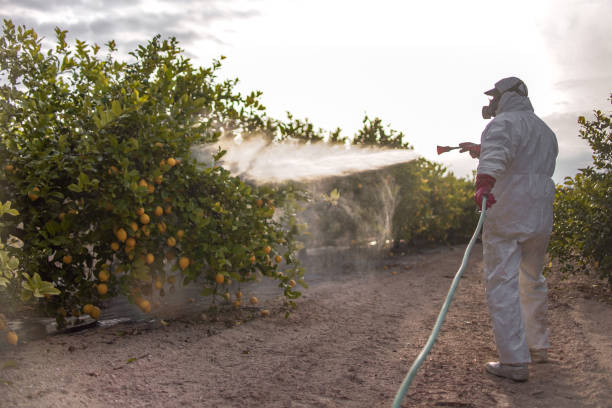 Pest Control Cost in Sierra Ridge, CO