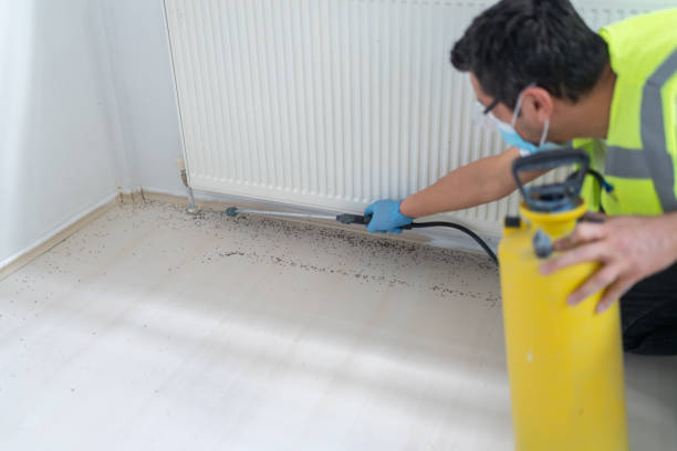 Best Pest Inspection Near Me  in Sierra Ridge, CO