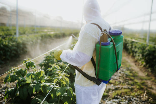 Best Residential Pest Control  in Sierra Ridge, CO